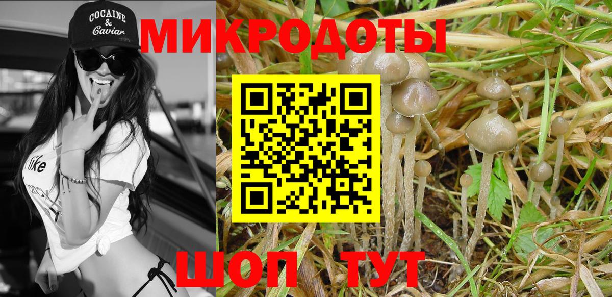 Псилоцибиновые грибы Psilocybe  Галлюциногенные грибы ЛСД  Тула  Вход с VPN 
