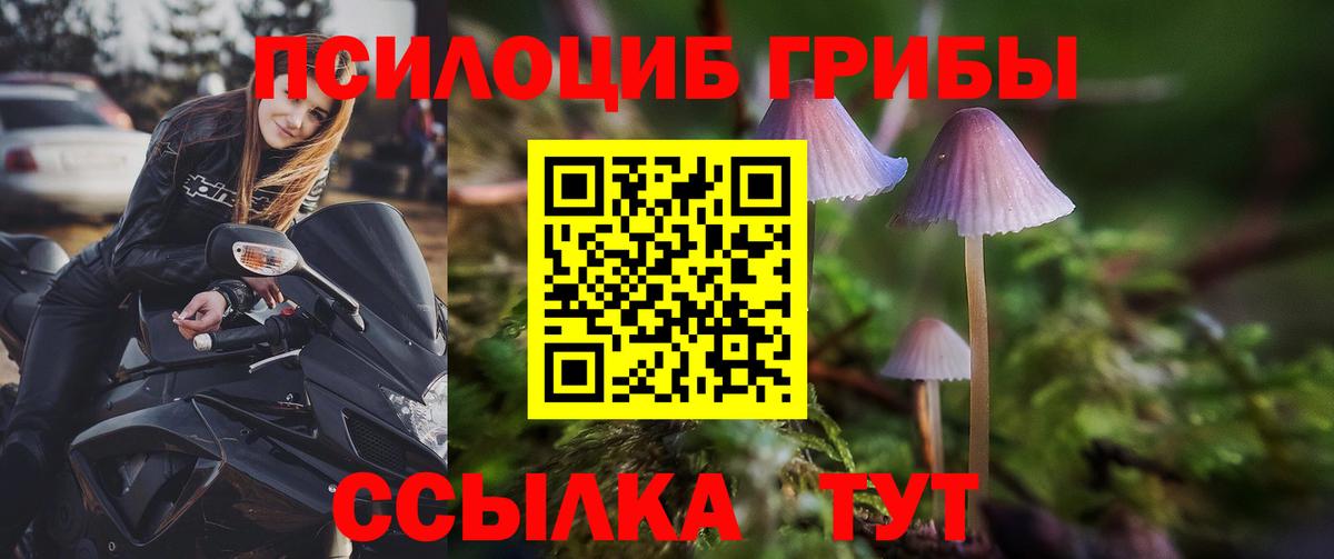 Псилоцибиновые грибы прущие грибы Тула